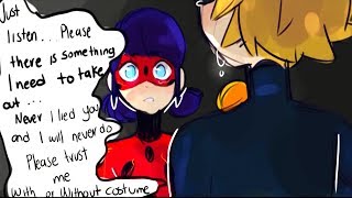 MARINETTE LIED TO ADRIEN【Miraculous Ladybug Comic Dub Compilation [upl. by Magdalena]