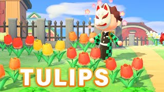 How to BREED Every TULIP Hybrid  Guide ► Animal Crossing New Horizons [upl. by Thornie]