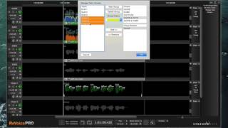 ReVoice Pro 32 Pt 3 — Managing Track Groups [upl. by Jeannie113]