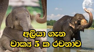 aliya gana rachanaaliya gana wakiඅලියා ගැන රචනාඅලියා ගැන වාක්‍ය [upl. by Maghutte336]