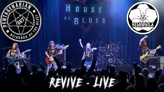 Nemophila is KILLING IT with Revive  Live at the House of Blues [upl. by Lasko]