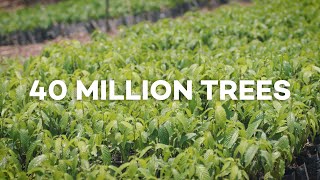 40 MILLION trees planted with Ecosia [upl. by Ioves]