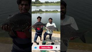 Bigsize katla fishing 🎣😮🫣fishing angling bigcatfish fishcatching [upl. by Allicsirp]