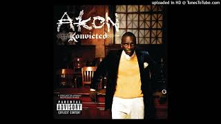 Akon  Smack That feat Eminem PAL Pitched [upl. by Nairdna149]