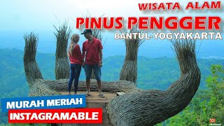 Wisata Pinus Pengger Bantul Yogyakarta  Banyak Lokasi Foto Instagramable [upl. by Ahtiek]