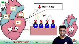 MECHANISM ACTION OF ATROPINE  PHARMACOLOGY [upl. by Goldshell786]