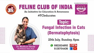 Webinar 24 Fungal Infection in Cats Dermatophytosis [upl. by Melville651]