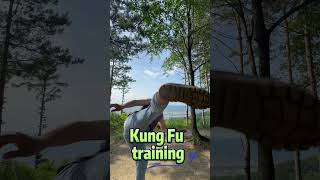 Chinese martial arts Baguazhang training kungfu martialarts [upl. by Wein980]