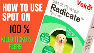 Use SPOT On to remove ticks quickly  Right method  Veko Radicate Spot On  Best SPOT ON for dogs [upl. by Idissak]