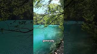 Plitvice Lakes National Park Guide [upl. by Petrine601]