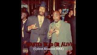 2Pac ft Snoop Dogg  Wanted Dead Or Alive Cylent Assassin RMX [upl. by Melloney]