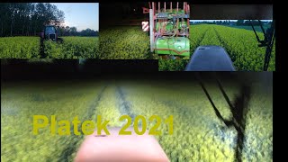 Na Płatek 2021 OpryskRzepakGoliatMassey 8150 [upl. by Ettenyar]