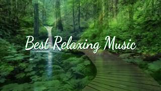 Relaxing Piano Music Romantic Music Beautiful Relaxing Music Sleep Music Stress Relief ★5 [upl. by Aseek312]