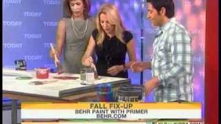 AllPro HS20 featured on the TODAY Show  Fall Fix Ups with Frank Fontana [upl. by Aret]