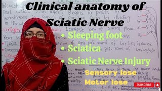 Clinical of Sciatic Nerve Sciatica injury of Sciatic Nerve sleeping footayesha medical education [upl. by Andras228]