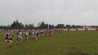 demi finale des Championnats de France de cross Challans cross court femmes [upl. by Sibbie]