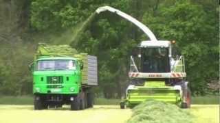 IFA Power und Claas Jaguar in der Kleegrassilage [upl. by Walkling]