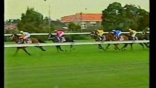 Cox Plate 2001  Northerly [upl. by Neetsirhc]