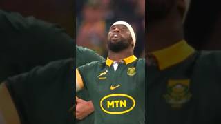 SIYA KOLISI  Try vs New Zealand  Springboks rugby allblacks springboks [upl. by Bilek567]