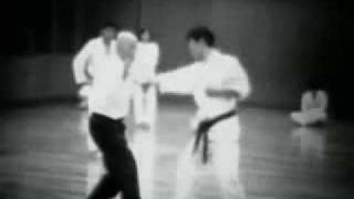 Taikiken Yi Quan Documentary [upl. by Jerrie440]