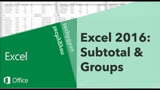 Excel 2016 Groups amp Subtotals [upl. by Asilanom]