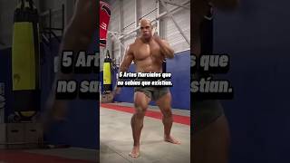 Conocías estas artes marciales🤔 Suscribanse para más contenido artesmarciales mma parati fypシ゚ [upl. by Nogem]