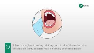 How to Collect a Buccal Swab Sample [upl. by Dania]