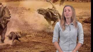 Dinosaur Myth Busted Archeologists and dinosaurs [upl. by Aerdnael]