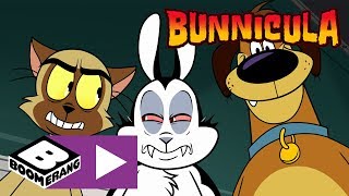 Bunnicula  Lucky Shot  Boomerang UK 🇬🇧 [upl. by Darwin]