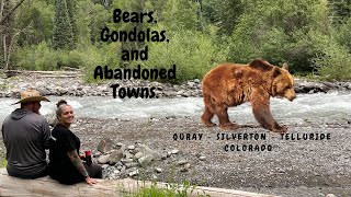 Bears Gondolas and Abandoned Towns on the Trail in the Jeep EcoDiesel [upl. by Nagap]