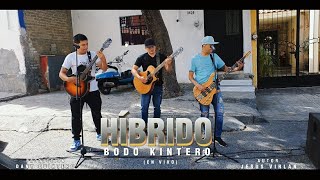 Bodo Kintero  Híbrido EN VIVO [upl. by Clarabelle167]