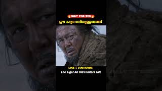 കടുവക്കുഞ്ഞുങ്ങളെ ഇയാൾ രക്ഷിക്കുന്നു  The Tiger An Old Hunters Tale  malayalam movie explanation [upl. by Ahtanaram226]