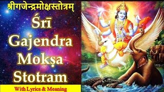 Gajendra Moksha Stotram  श्री गजेंद्र मोक्षम् BrajaBeats Lavis aummusics [upl. by Hagai]