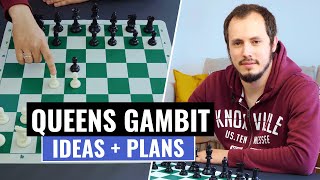 Queen’s Gambit  Basic Ideas Plans amp Strategies  Chess Openings  Andrey Ostrovskiy [upl. by Lamiv]