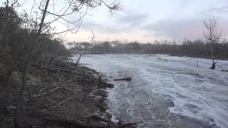 Vague entrante dans la forêt à la pointe de Maumusson [upl. by Eiramaliehs]