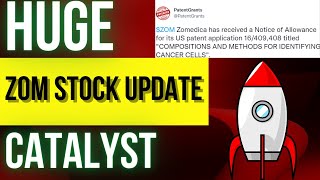 Zomedica ZOM Stock Update  BIG NEWS Is it a BUY [upl. by Atalee]