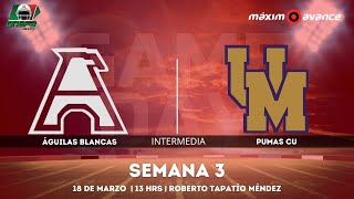 INTERMEDIA EN VIVO Pumas CU vs Autenticos Tigres UANL [upl. by Spevek]