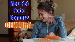 Meu Pet pode comer Cenoura [upl. by Hilaria]