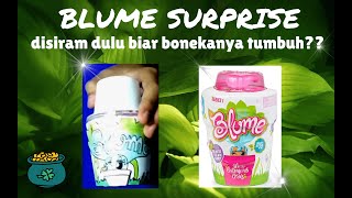 UNBOXING BLUME SURPRISE DOLL HOMEMADE DIY BLUME SURPRISE [upl. by Amiarom]