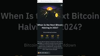 What Bitcoin Halving Effect on Market ❓ [upl. by Corabel]