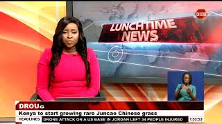 Drought Resistant Grass I Kenya to start growing rare Juncao Chinese grass [upl. by Christal]