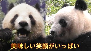 13双子パンダ今年最初の美味しい笑顔！可愛い顔がたくさん見れましたgiantpanda tokyo 上野動物園 [upl. by Antonietta673]