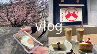 【vlog】春の京都・大阪デート京セラ美術館岡崎神社造幣局 桜の通り抜け🌸念願の焼肉 [upl. by Annirak]