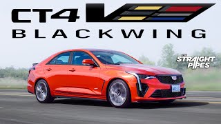 BUY THIS CAR NOW 2023 Cadillac CT4V Blackwing Review [upl. by Arathorn56]