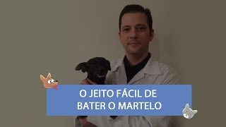 Critérios para Síndrome da resposta inflamatória [upl. by Adnat]