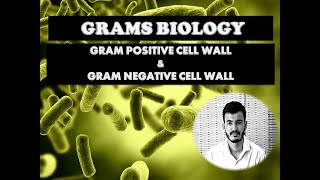 Gram Positive and Gram Negative Cellwall in malayalammicrobiologybacteriologycellwall [upl. by Gefen]