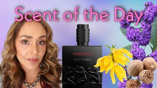 Scent of the Day Habanita by Molinard a floral powder bomb [upl. by Akemak]