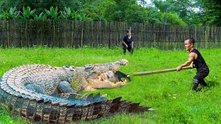 Dwarf Family Primitive Life Crocodile breaks fence and bites goat  garden renovate to grow chayote [upl. by Alonso]