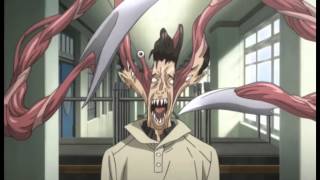 AMV Parasyte  Metamorphosis [upl. by Drofnelg164]