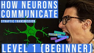 Synaptic Transmission and The Synapse Level 1 Beginner [upl. by Juliano]